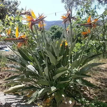 Campagna&mare
